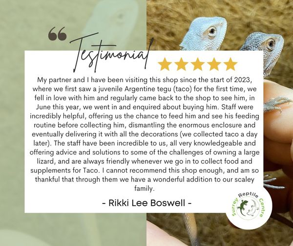 Surrey Reptile Centre Review